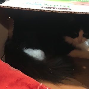 Meet your Posher, Brittany